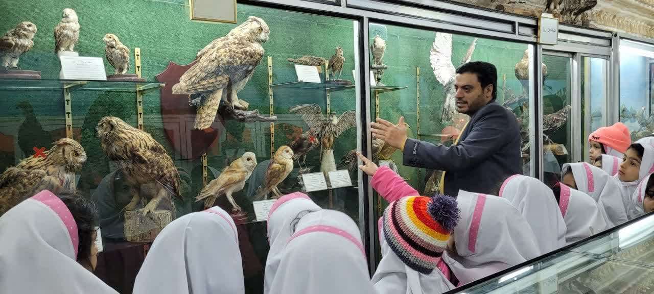 بازدید از موزه علوم طبیعی