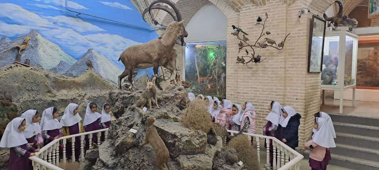 بازدید دانش آموزان پایه اول از موزه علوم طبیعی
