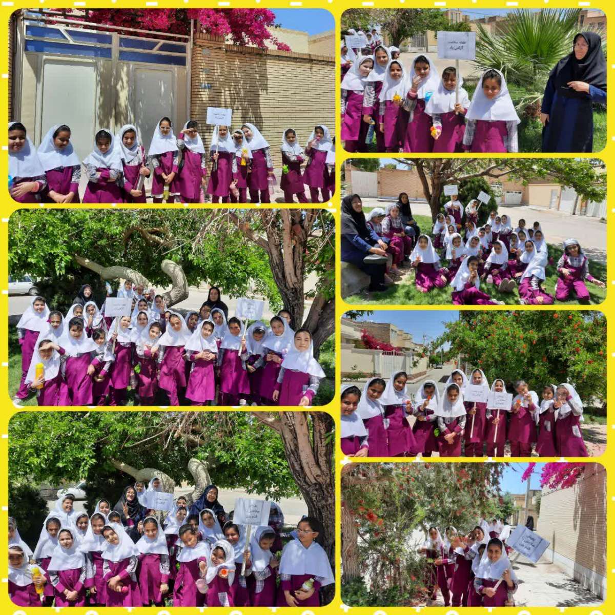 🍃🌸 پویش 