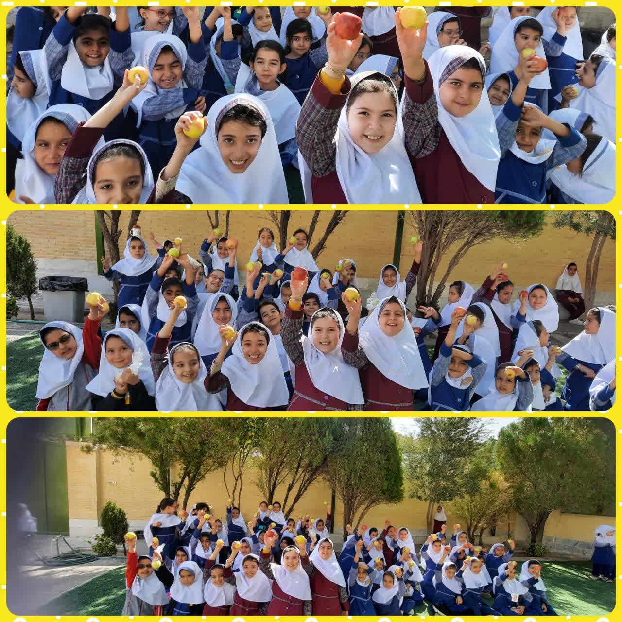 روز جهانی سیب