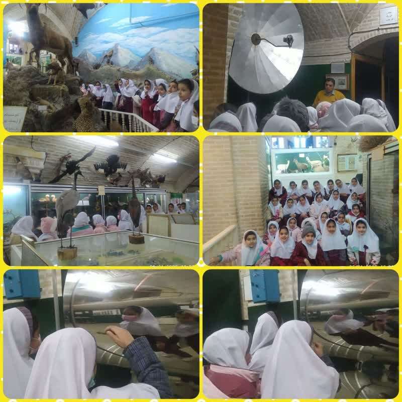 بازدید از موزه علوم طبیعی