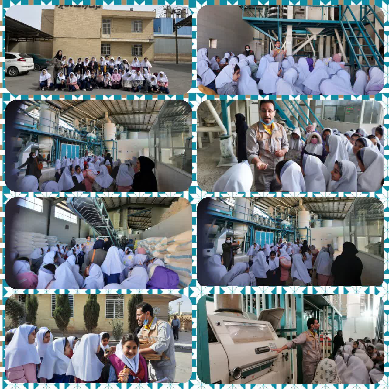 بازدید از کارخانه آرد سعادت