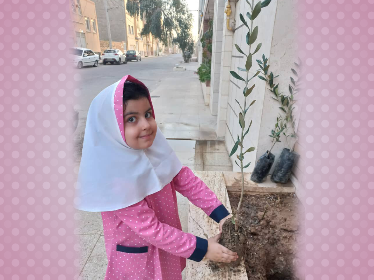 جشنواره نهال کوچک من